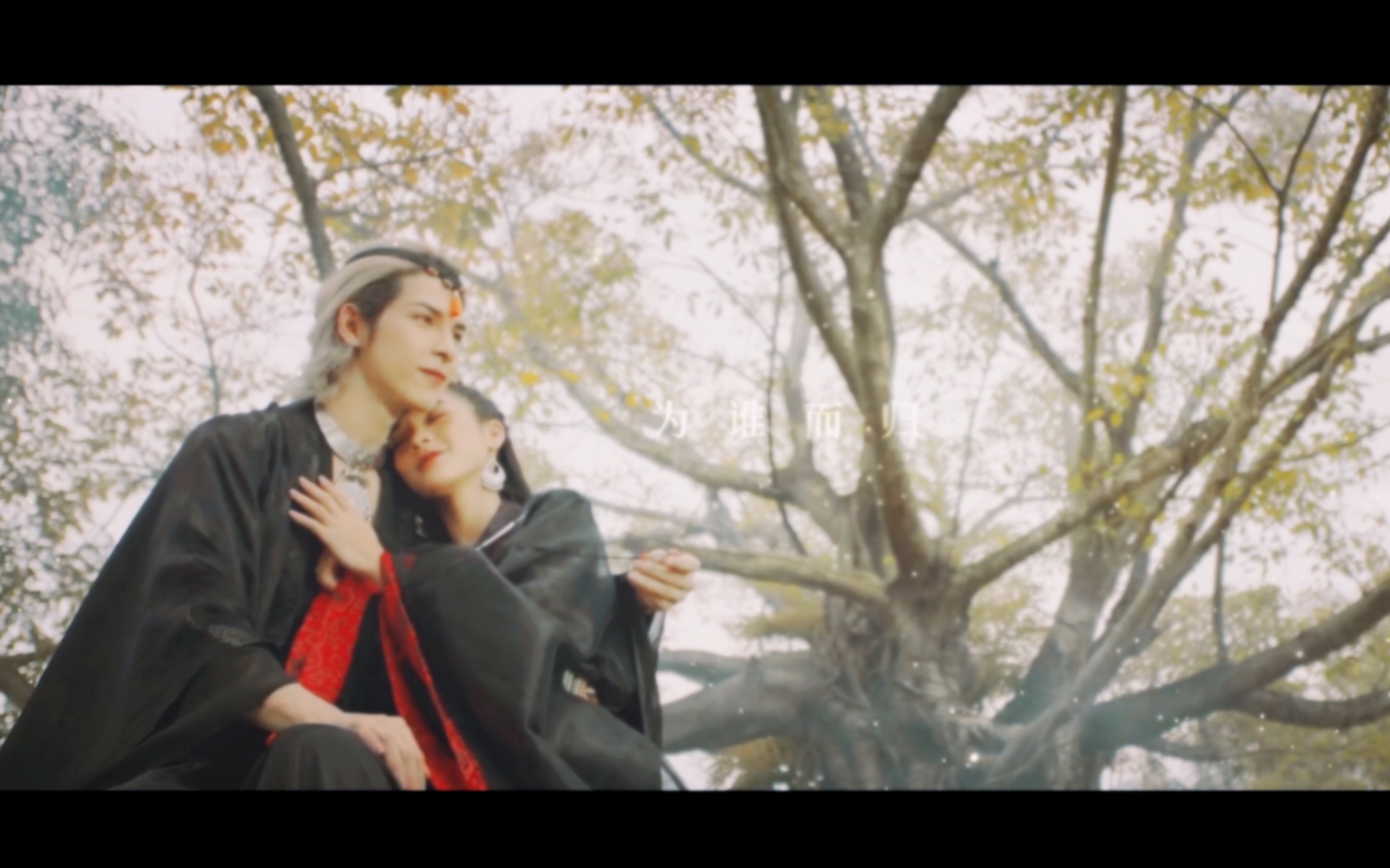 重剪火爆b站的越南mv自心用初见打开小白莲和王后的爱情故事