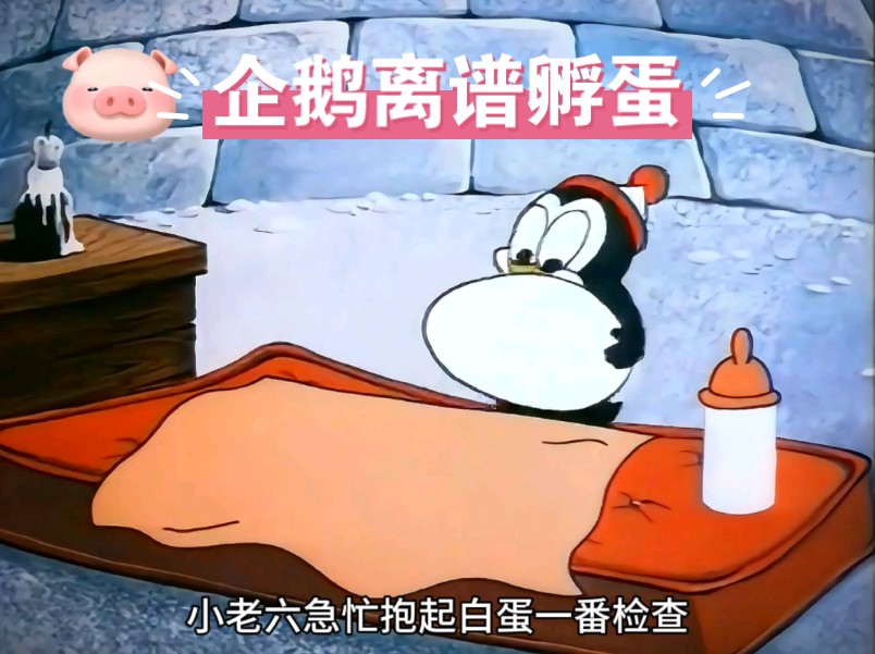 企鹅老六孵蛋,简直不亚于离谱妈妈给离谱开门离谱到家