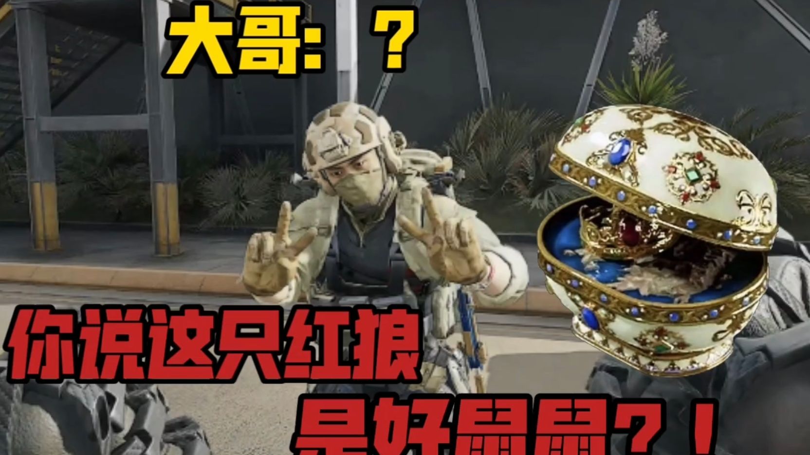 【金鼠日记】红狼当鼠鼠不仅没被打还被大哥投喂大红？！