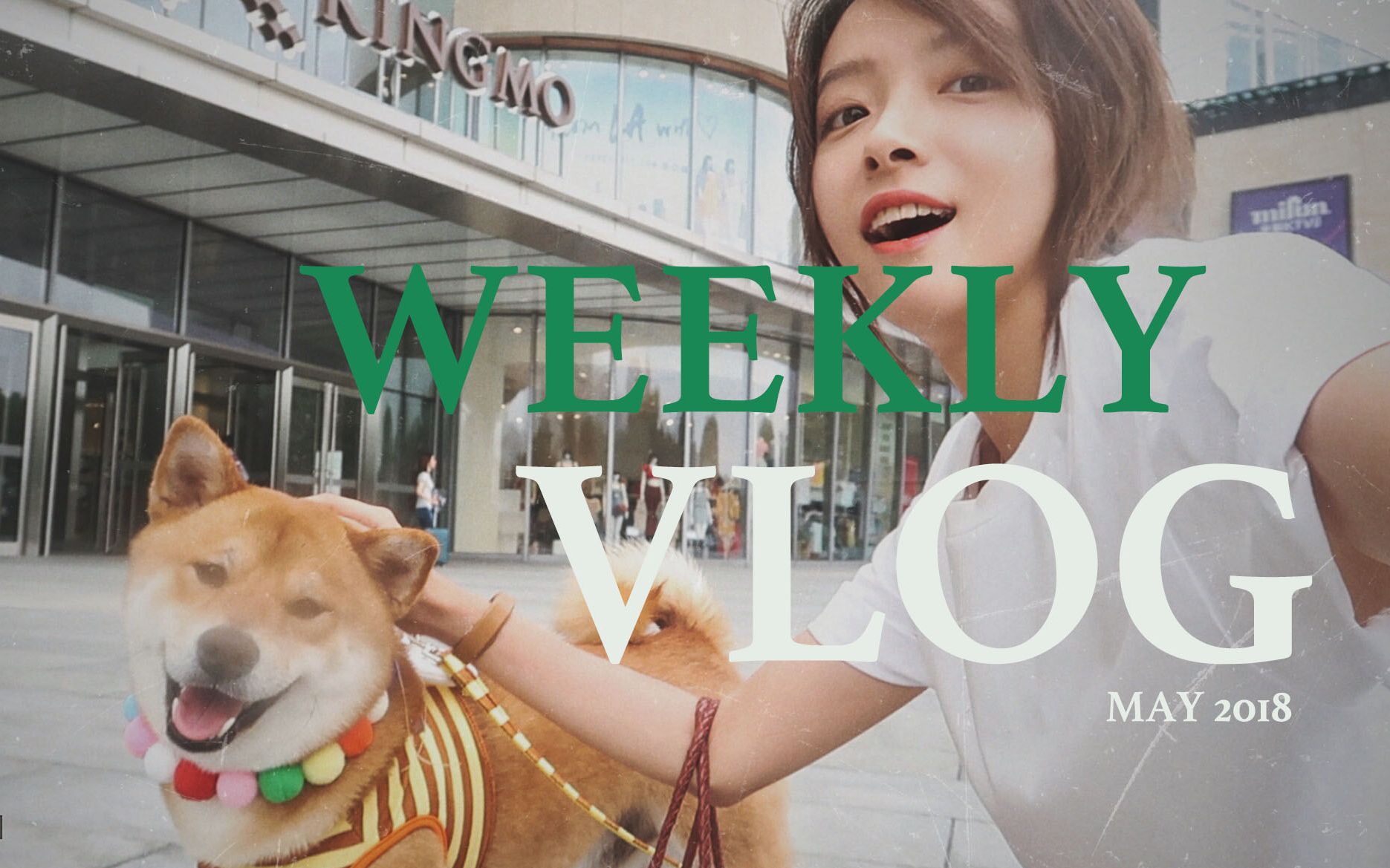 【silviawang】weekly vlog|被工作填满的无聊一周