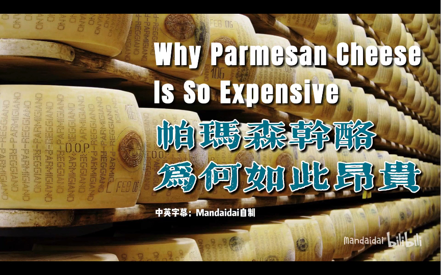 [全球美味] 帕玛森干酪为何如此昂贵|Why Parmesan Is So Expensive|Italy, Parmigiano Reggiano哔哩哔哩bilibili