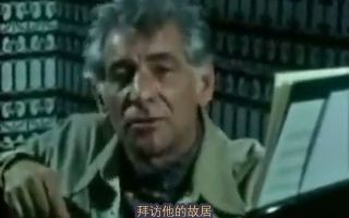 【熟肉】伯恩斯坦谈贝多芬 Bernstein about Beethoven's music哔哩哔哩bilibili