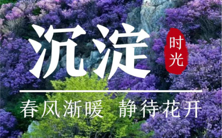 [图]接下来的大黑山，杜鹃花开，如梦似幻。来大黑山，赴一场花海之梦！