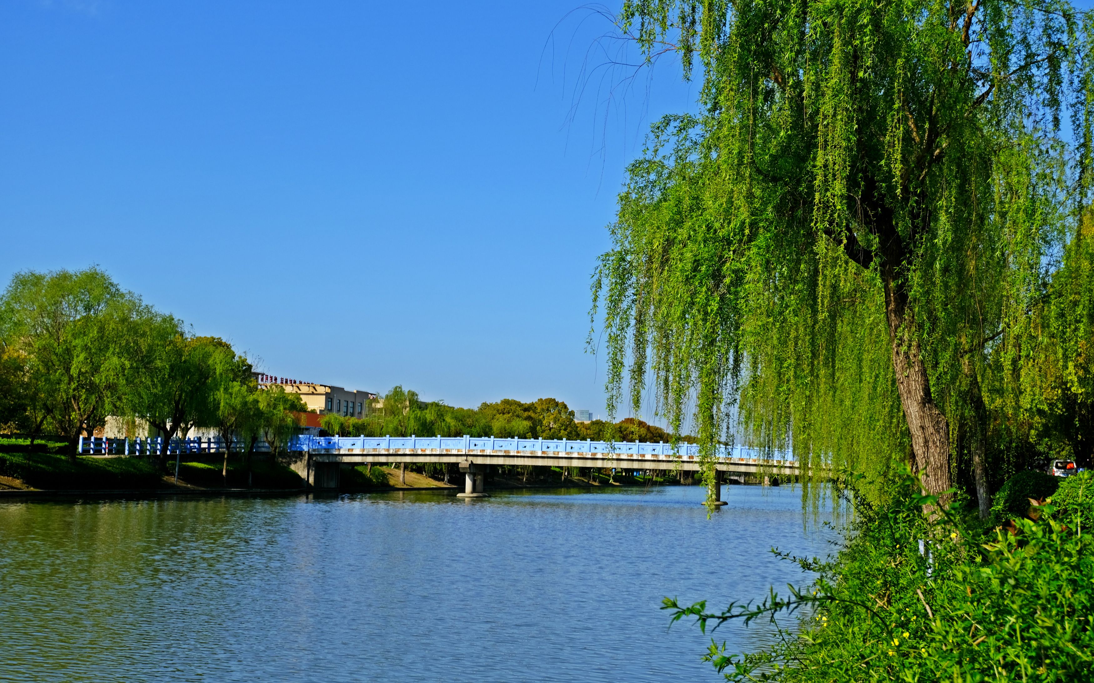 【一路向西】溯洄张家浜 寻迹浦东发展30年 时间线排列