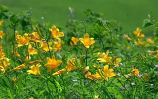 車山高原 搜索结果 哔哩哔哩 Bilibili