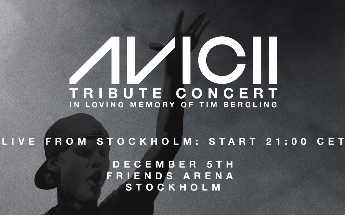 avicii致敬演唱会timbergling的爱之回忆自制双字