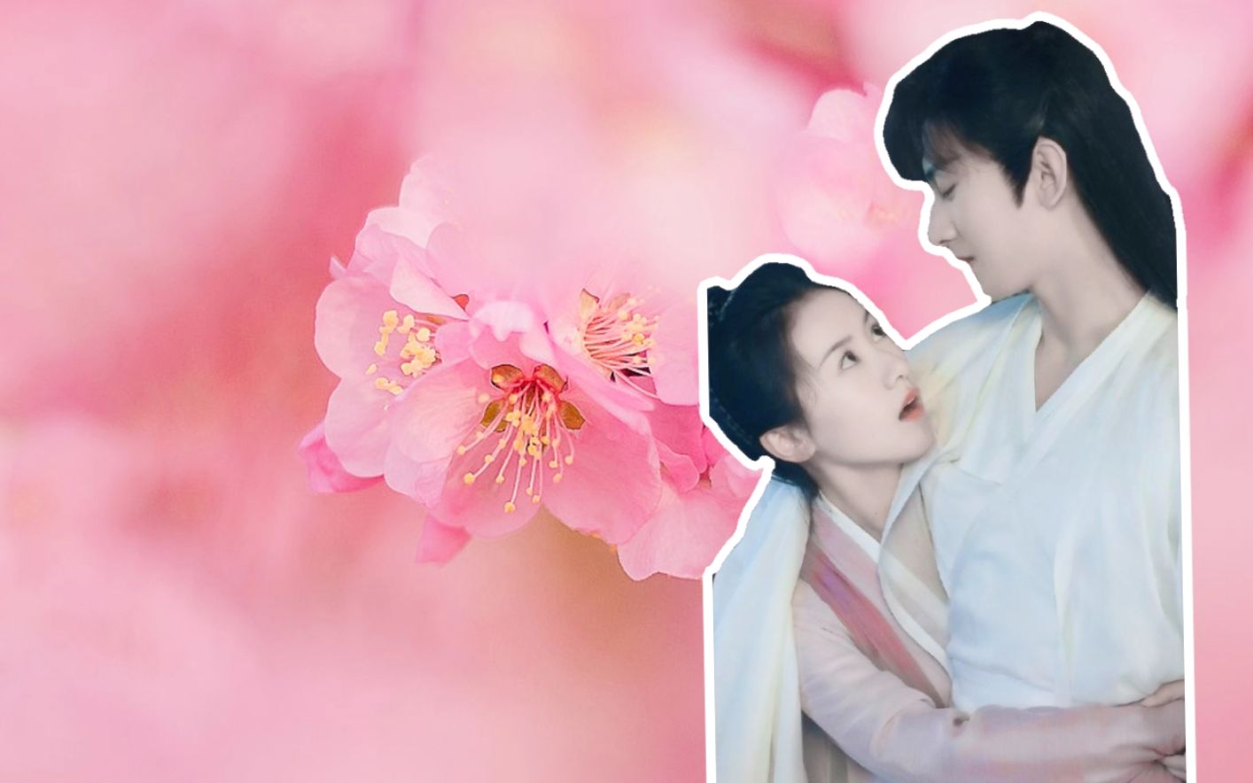 活动作品苏公提x初遇夫妇x褚璇玑x禹司风