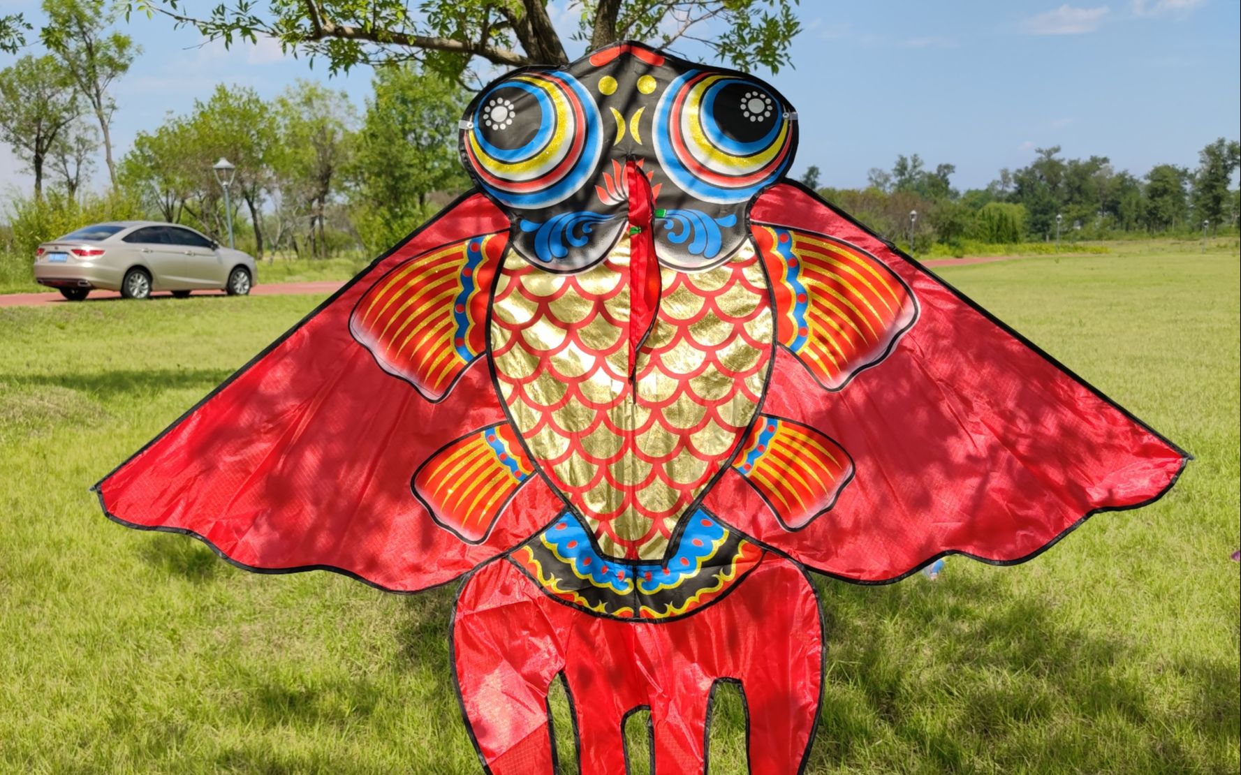 好漂亮的红色金龙鱼风筝呀