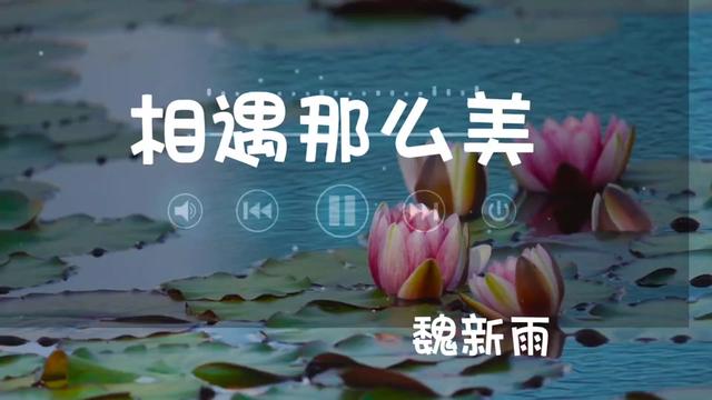 魏新雨《相遇那么美》