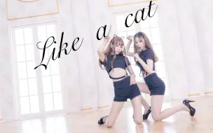 Download Video: 【零子酱&Honey】两万粉感谢（❤）AOA-猫步轻悄