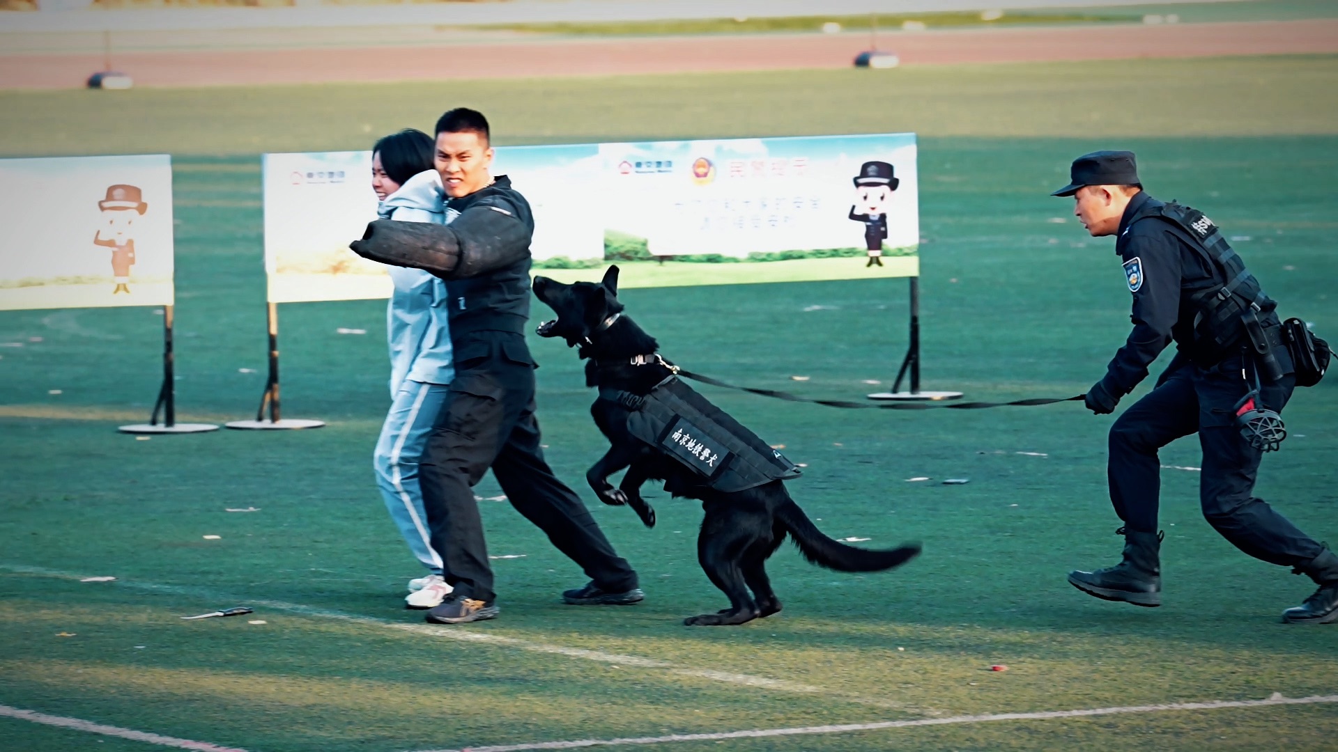 60秒混剪警犬高燃瞬间:钻车窗擒贼、纵身跳火圈,搜毒救援样样精通哔哩哔哩bilibili