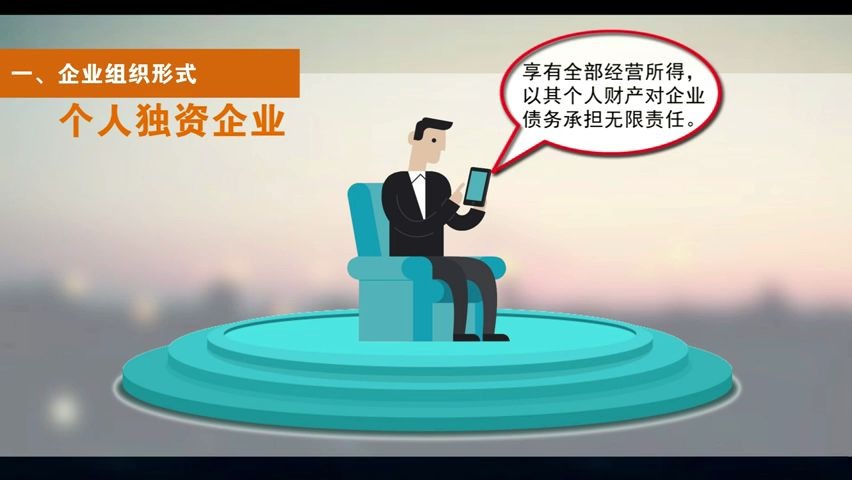 企业组织形式和财务管理的环境哔哩哔哩bilibili