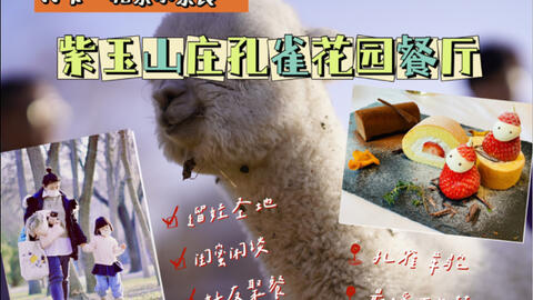 羊驼 孔雀 梅花鹿 黑天鹅 紫玉山庄原来散养了这么多动物 哔哩哔哩 羊驼 孔雀 梅花鹿 黑天鹅 紫玉山庄原来散养了这么多动物 哔哩哔哩