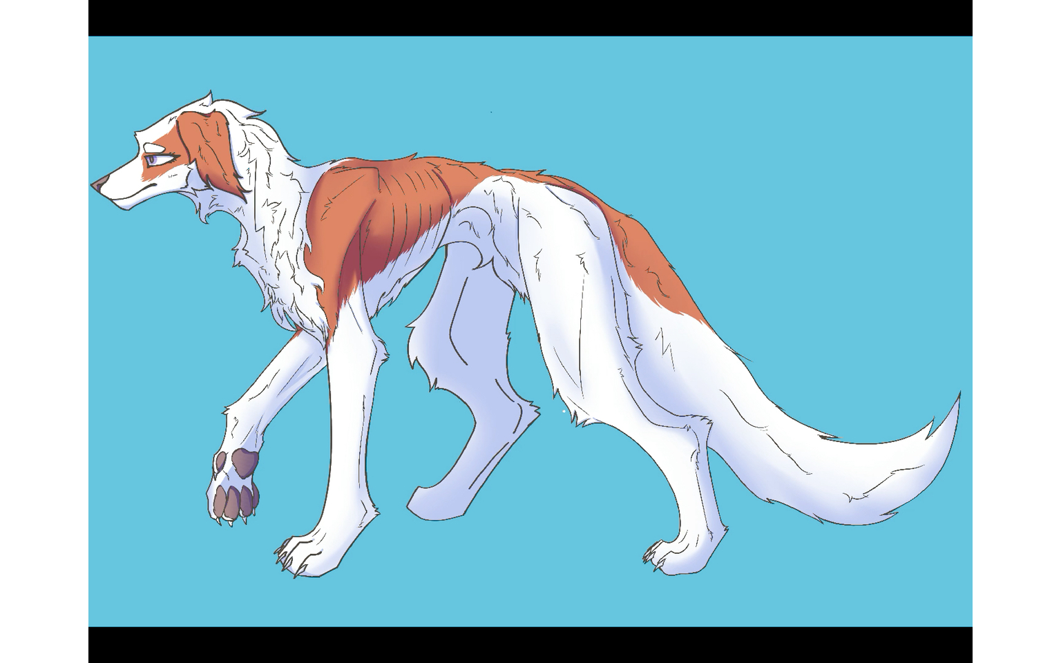 【furry/兽设】一只可爱的红白赛特犬