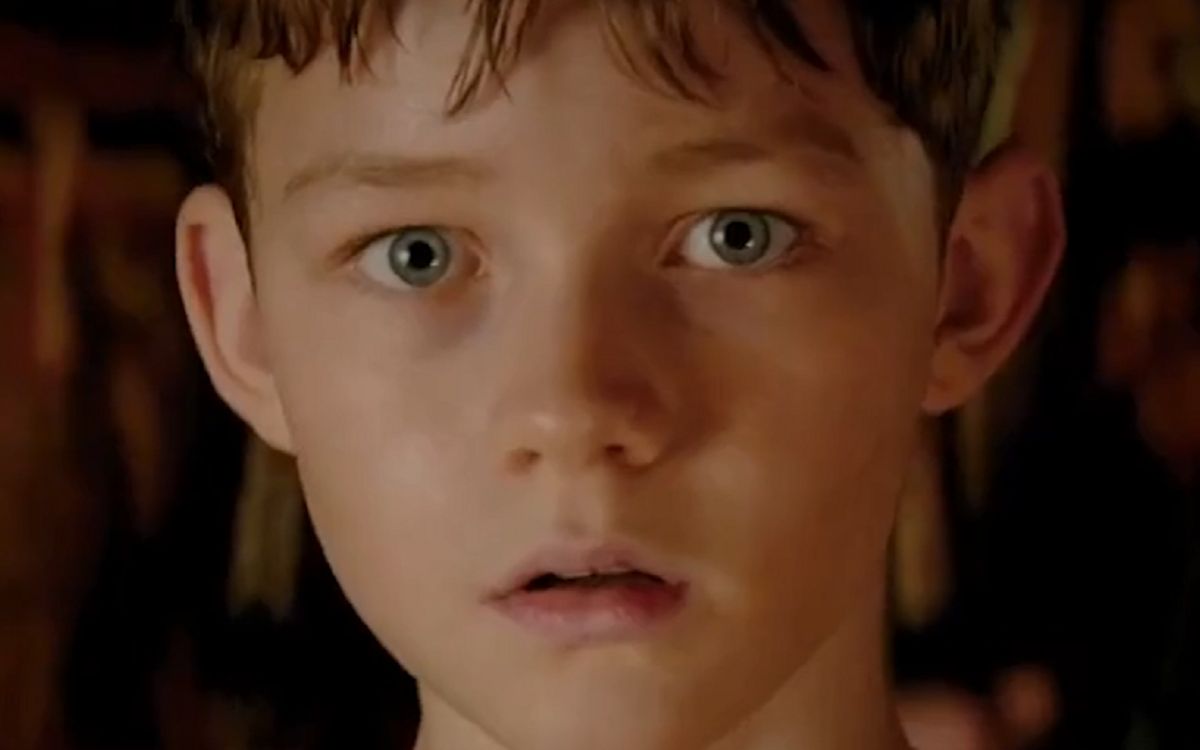 电影小男孩天生拥有精灵血脉会飞的特异功能统治了精灵王国