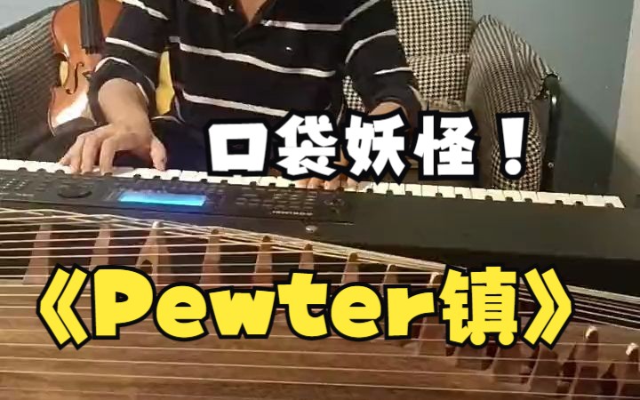 口袋妖怪 —— Pewter镇哔哩哔哩bilibili