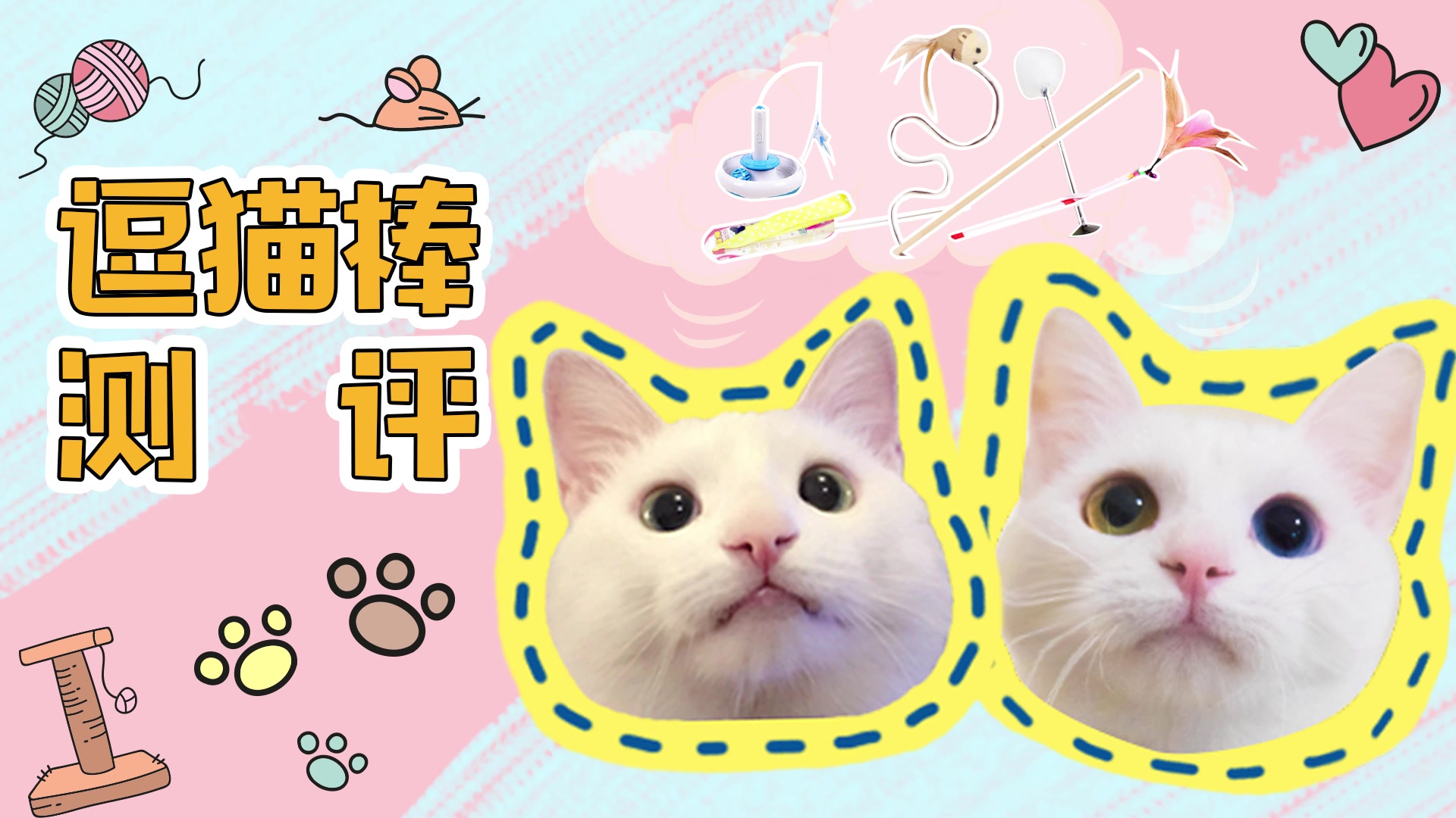 我们养猫吧 逗猫棒测评哔哩哔哩bilibili