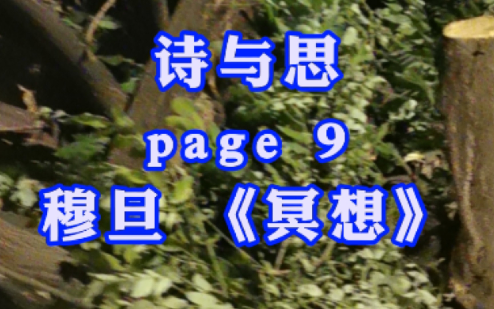 【诗与思】Page 9 穆旦《冥想》| 这才知道我的全部努力,不过完成了普通的生活.哔哩哔哩bilibili