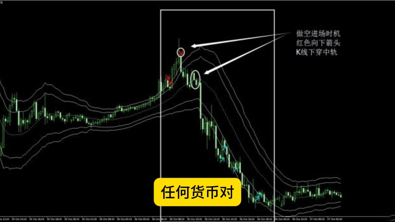 618外汇网|免费MT4指标模版裸熊形态外汇交易系统下载.哔哩哔哩bilibili