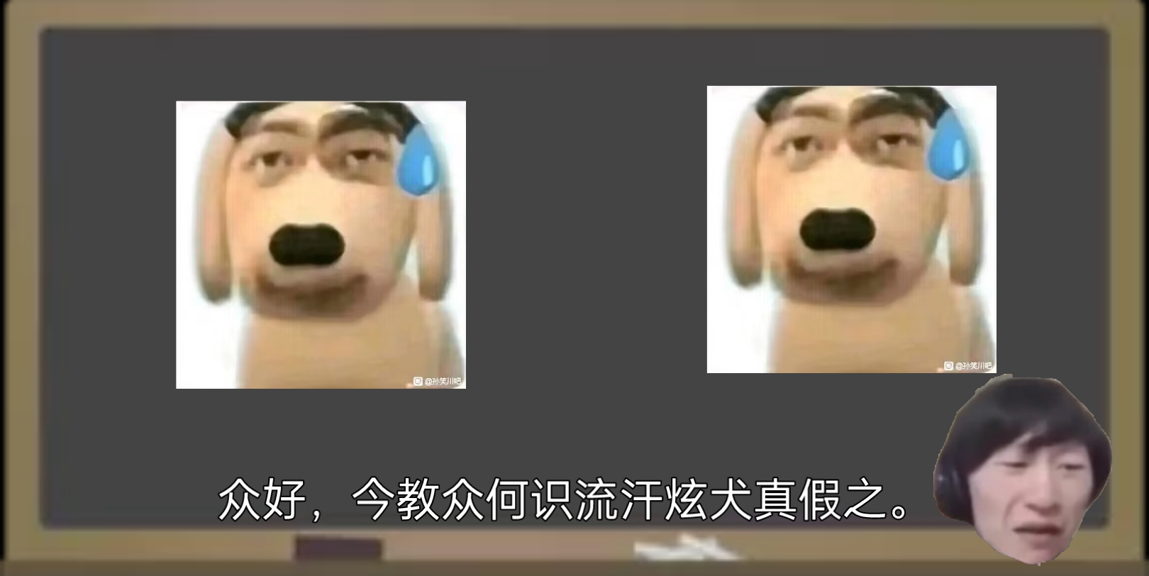 吉吉补习班之区分真炫狗与假炫狗