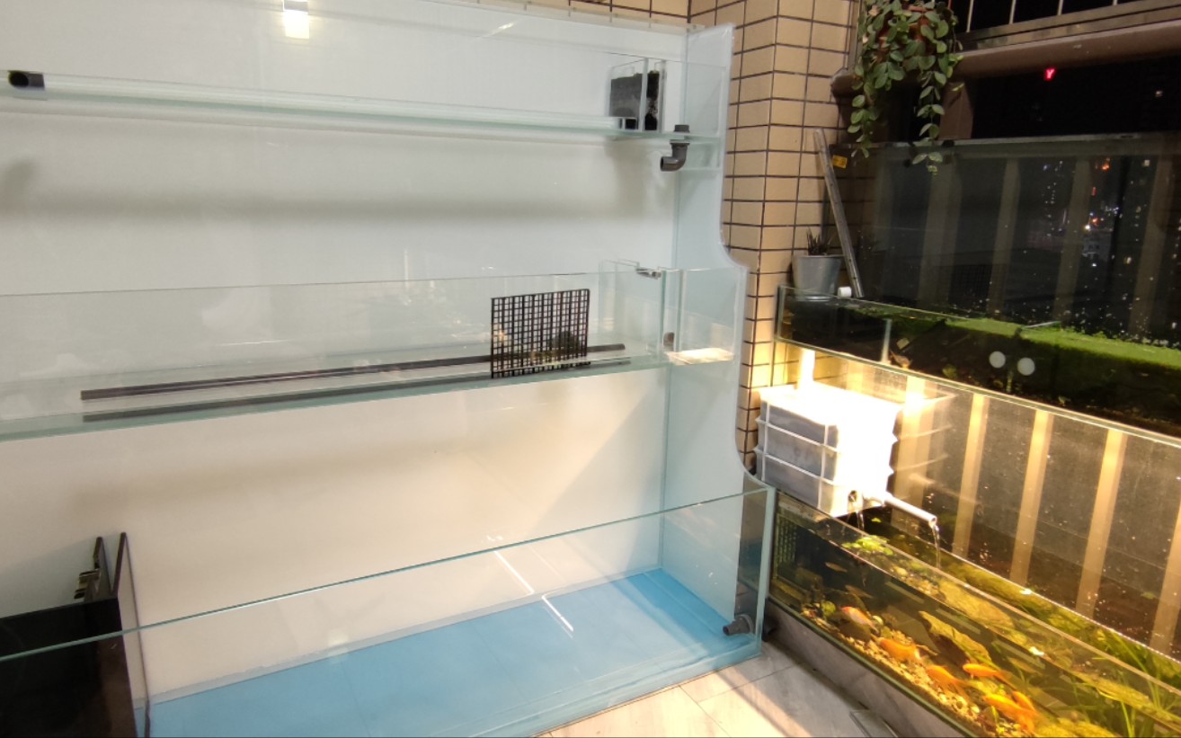 小伙自制一米五阳台鱼缸三层一体循环两层悬空