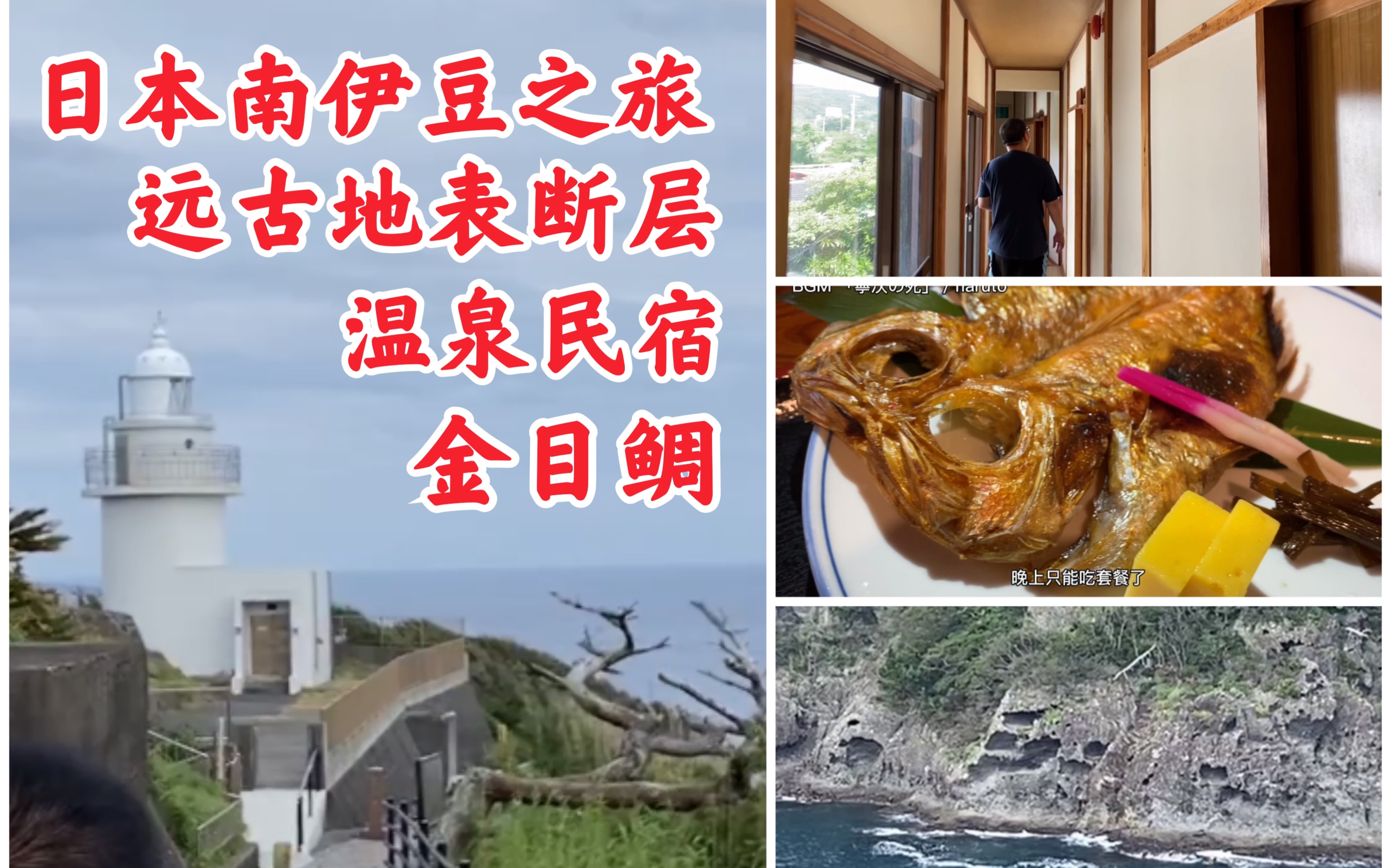 【志强的食堂】天然温泉民宿 远古地表断层 金目鲷 灯塔 南伊豆旅游篇(2)哔哩哔哩bilibili