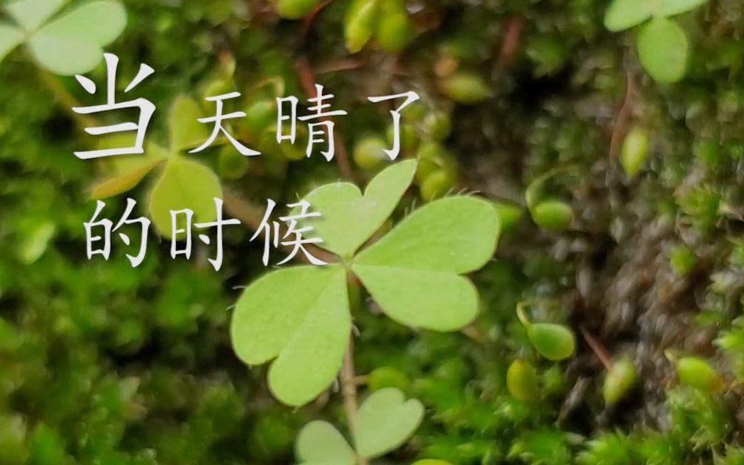 [图]【洛天依原创曲】《当天晴了的时候》纪念因抗疫而牺牲的英雄和同胞