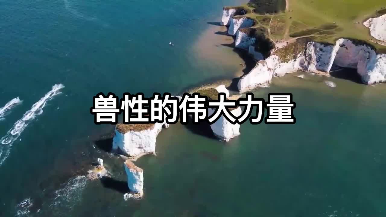 兽性的伟大力量哔哩哔哩bilibili