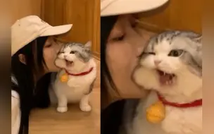 “妹子，猫不是这么吃的！”