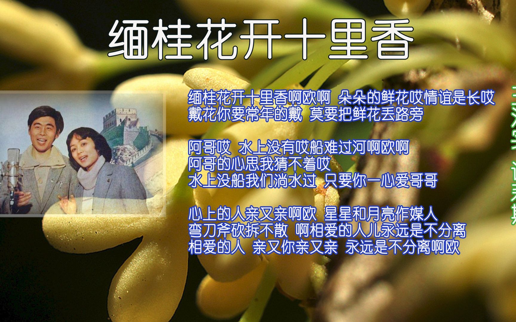缅桂花开十里香--王洁实&谢莉斯
