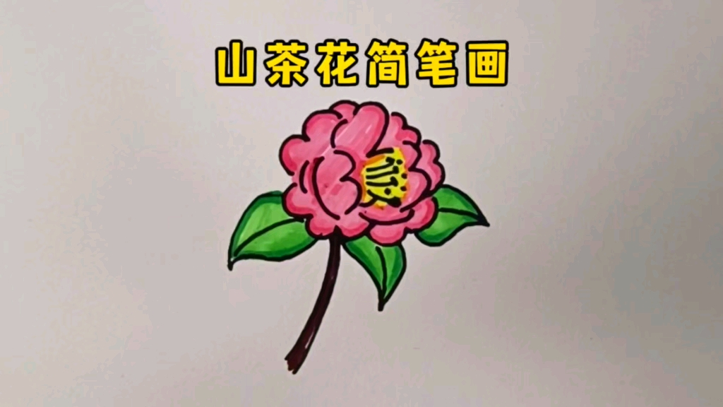 用数字3和数字2画山茶花简笔画哔哩哔哩bilibili