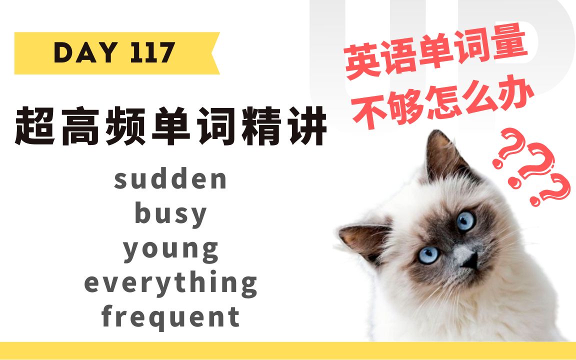 【学英语】十分钟掌握必背单词Day 117:sudden, busy, young, everything, frequent哔哩哔哩bilibili