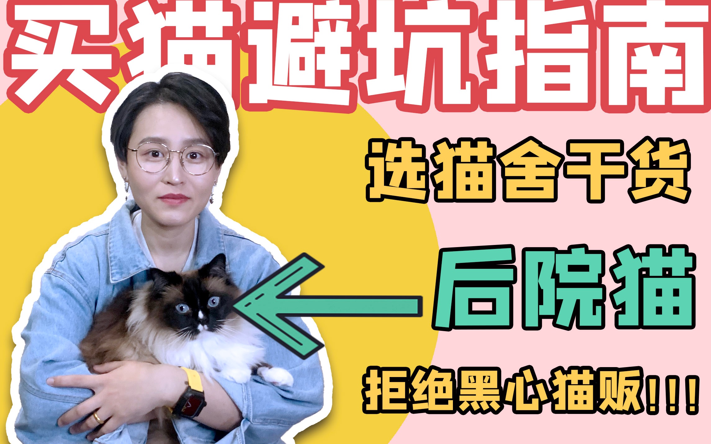 [图]【买品种猫必看】是的，国外也有后院！我们也买过后院猫...| 如何识别后院猫舍？| 买猫前你要知道的事 | 抵制黑心猫贩子