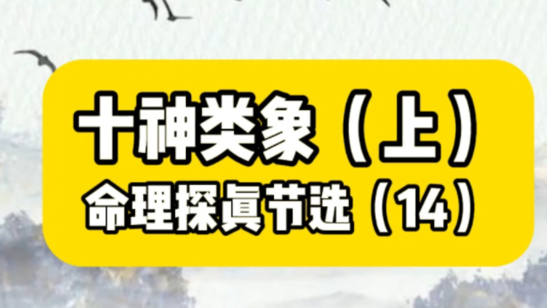 十神类象上命理八字哔哩哔哩bilibili