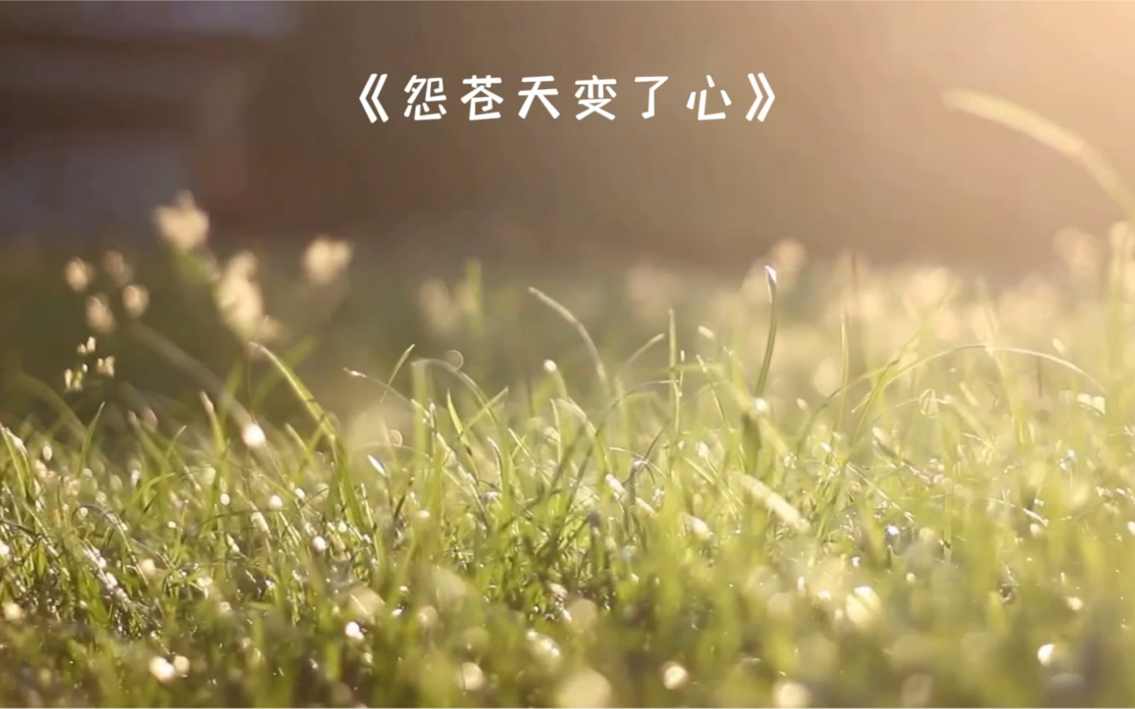 烟嗓怨苍天变了心超好听