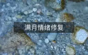 Download Video: 三小时深度情绪修复｜满月期间 情绪可能大起大落 此音乐用于清理深层次的情绪问题 觉而不动 安静聆听｜自然之音