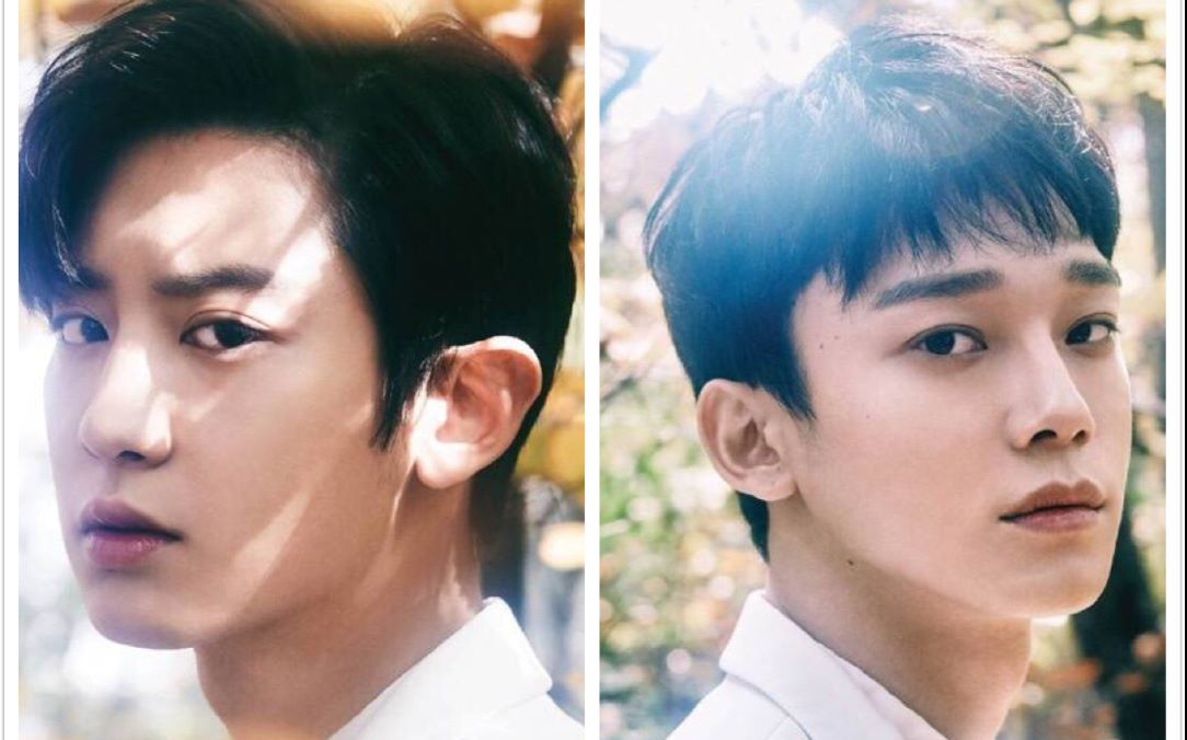 灿橙(一个粗制的预告)