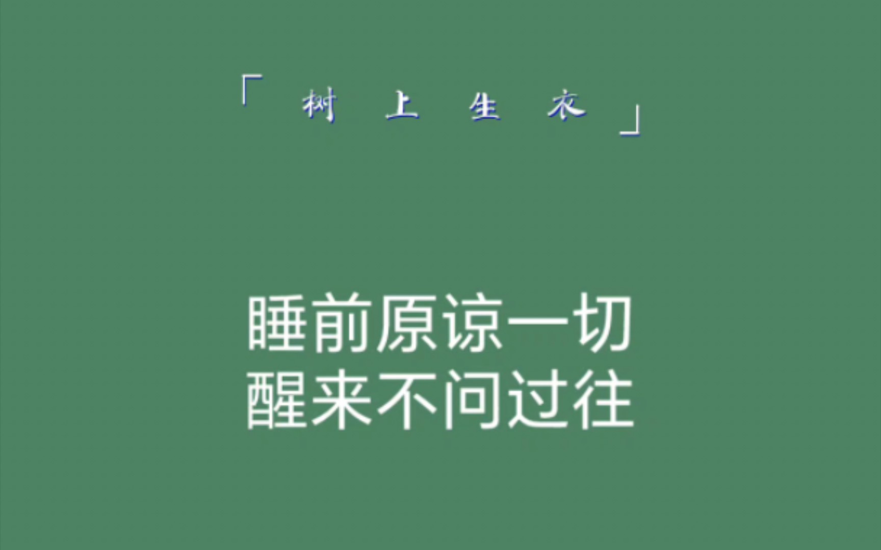 那些温暖你的句子|睡前原谅一切,醒来不问过往