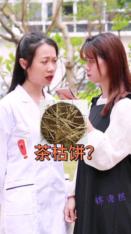 茶枯饼洗头,真的能止痒去屑吗?哔哩哔哩bilibili