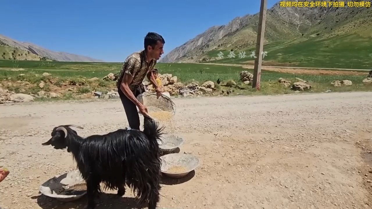 塔布卖山羊遇挫折,低价难解经济危机,塔布一家如何破局?哔哩哔哩bilibili