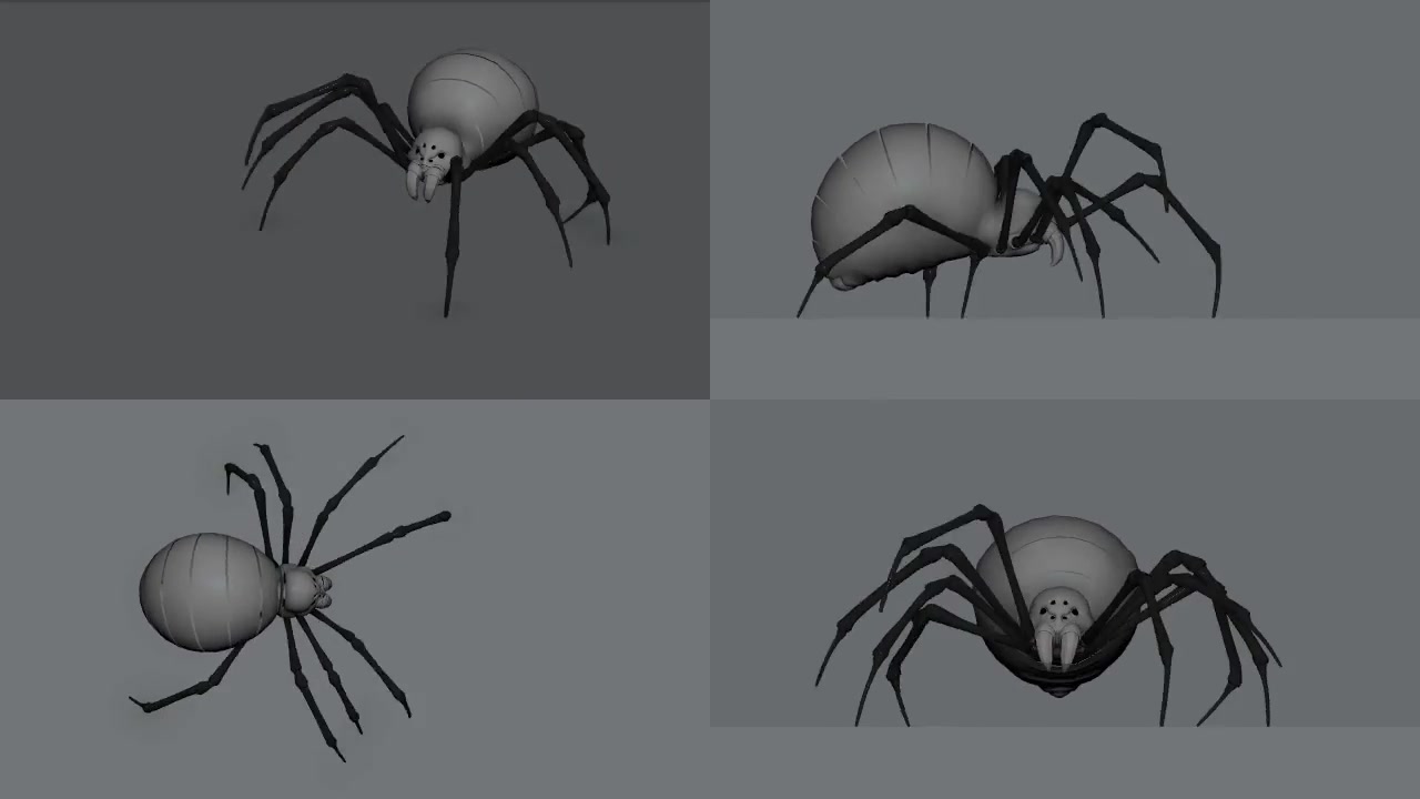 蜘蛛爬行动作分解动画图片
