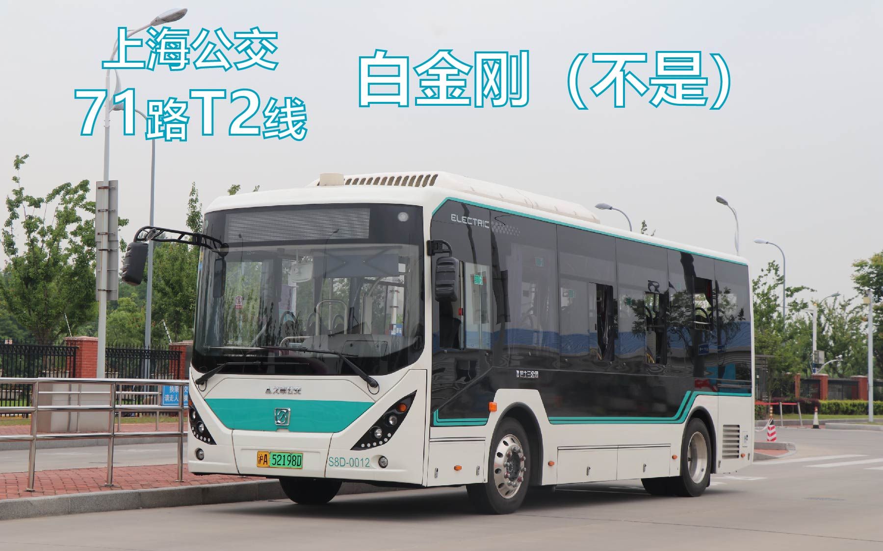 小号白金刚不是上海公交巴士三公司71路t2线上汽申沃swb6868bev61s8d