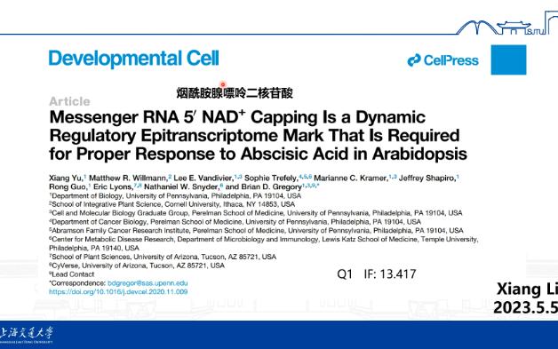 【2】文献分享 | 植物mRNA 5' NAD+ capping eraser Dxo1 | 表观修饰对于降解的动态调控哔哩哔哩bilibili