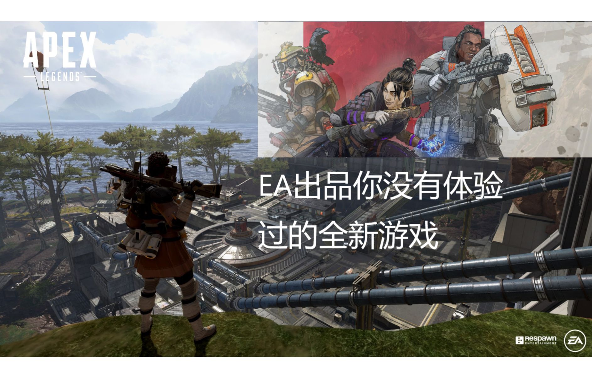 橘子Origin平台最新免费大逃杀游戏(Apex Legends)实机试玩体验哔哩哔哩bilibili