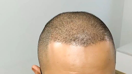 深圳纹发 佛山纹发 东莞纹发