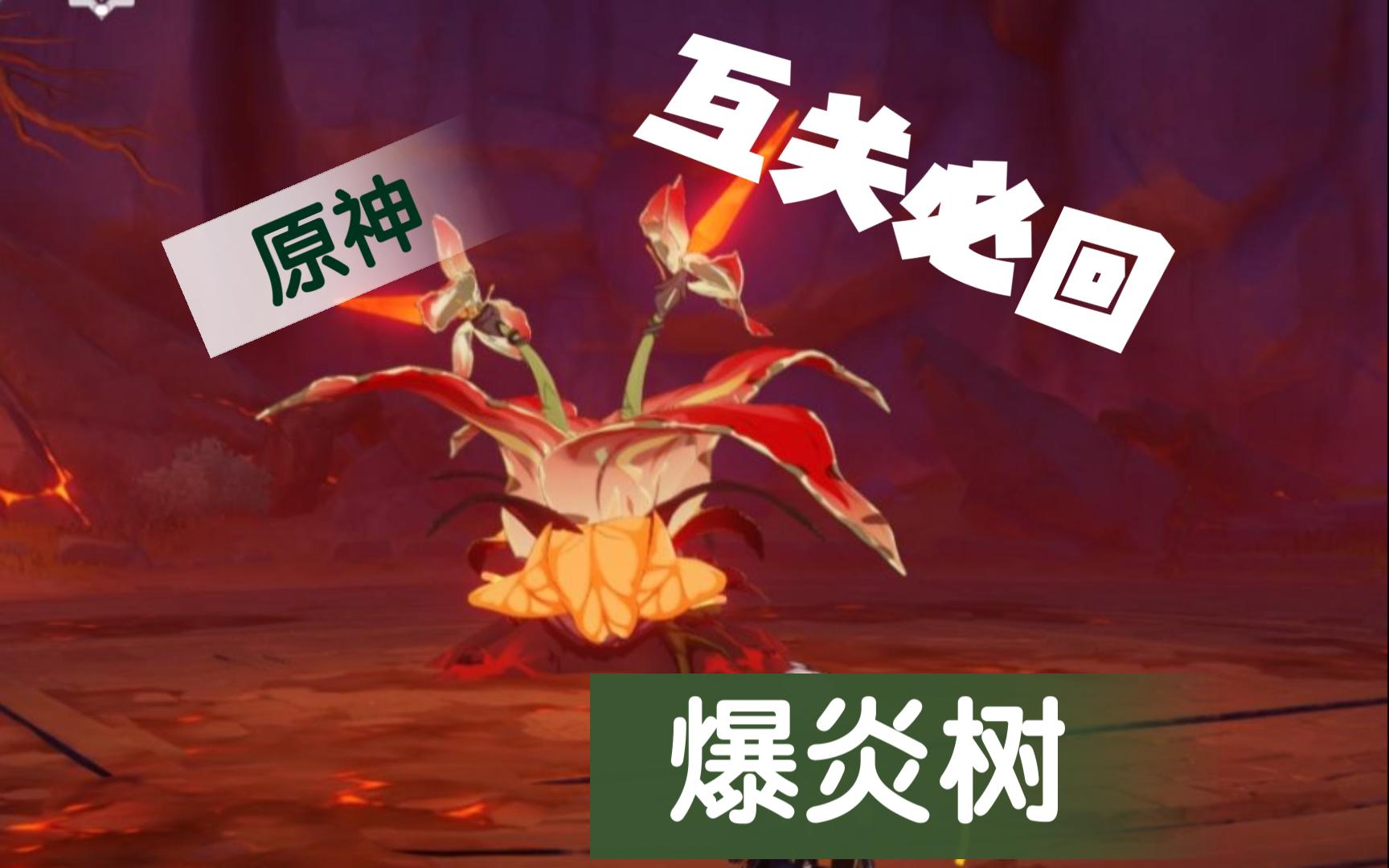 原神-怒怼爆炎树 互关必回