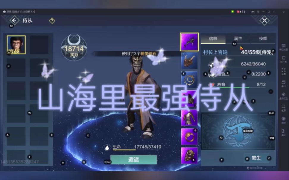 妄想山海不知道养什么是侍从看了这视频就知道养谁了.