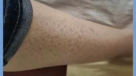 搜索 哔哩哔哩 つロ干杯 Bilibili