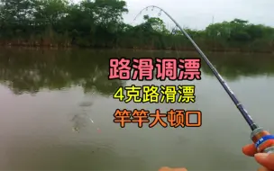 Descargar video: 路滑浮漂这么调，灵敏度并不差，掌握好方法，嘎嘎出大顿口