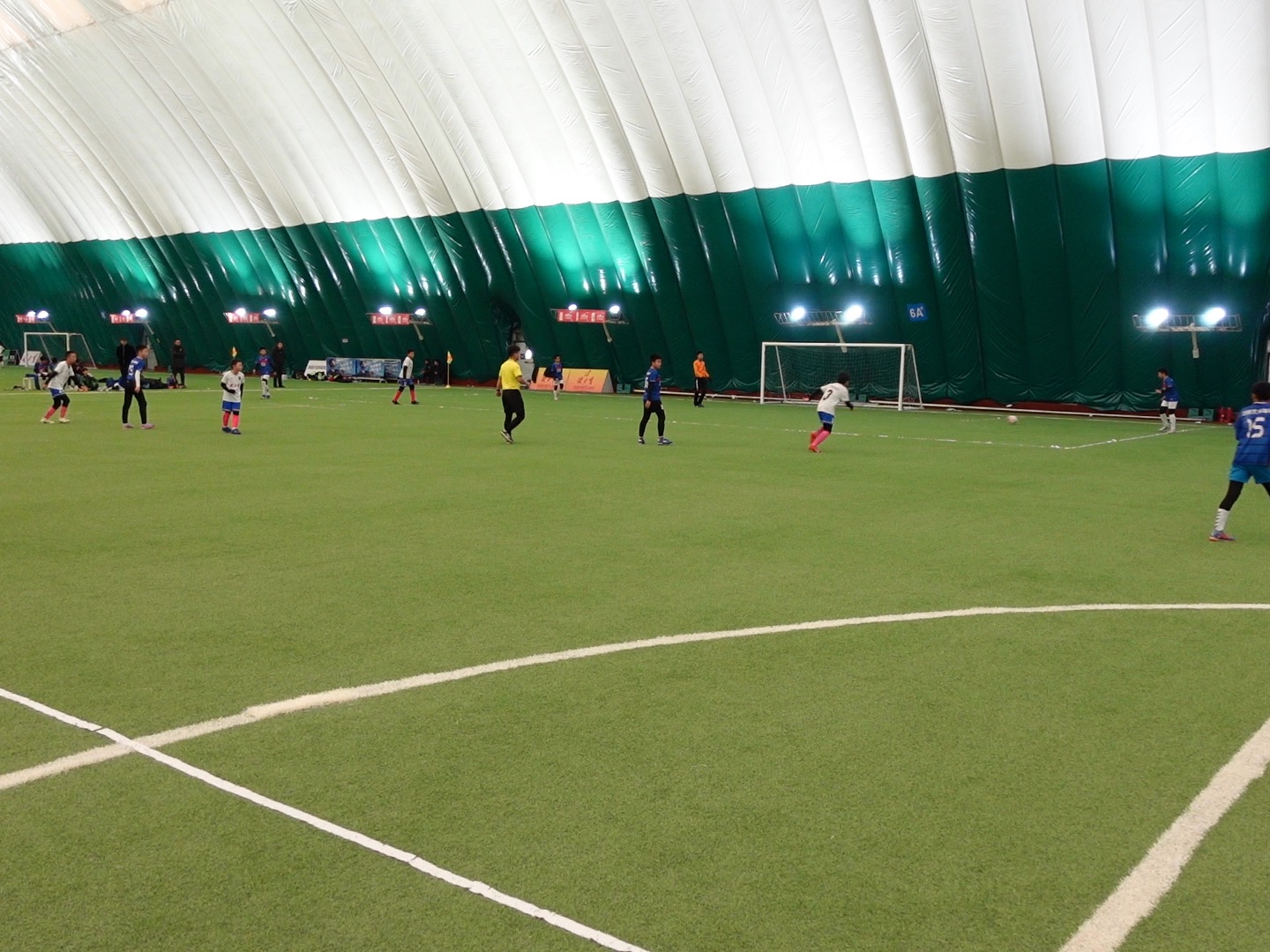 辽小虎1112 望花 1/2 #240224 #贺岁杯